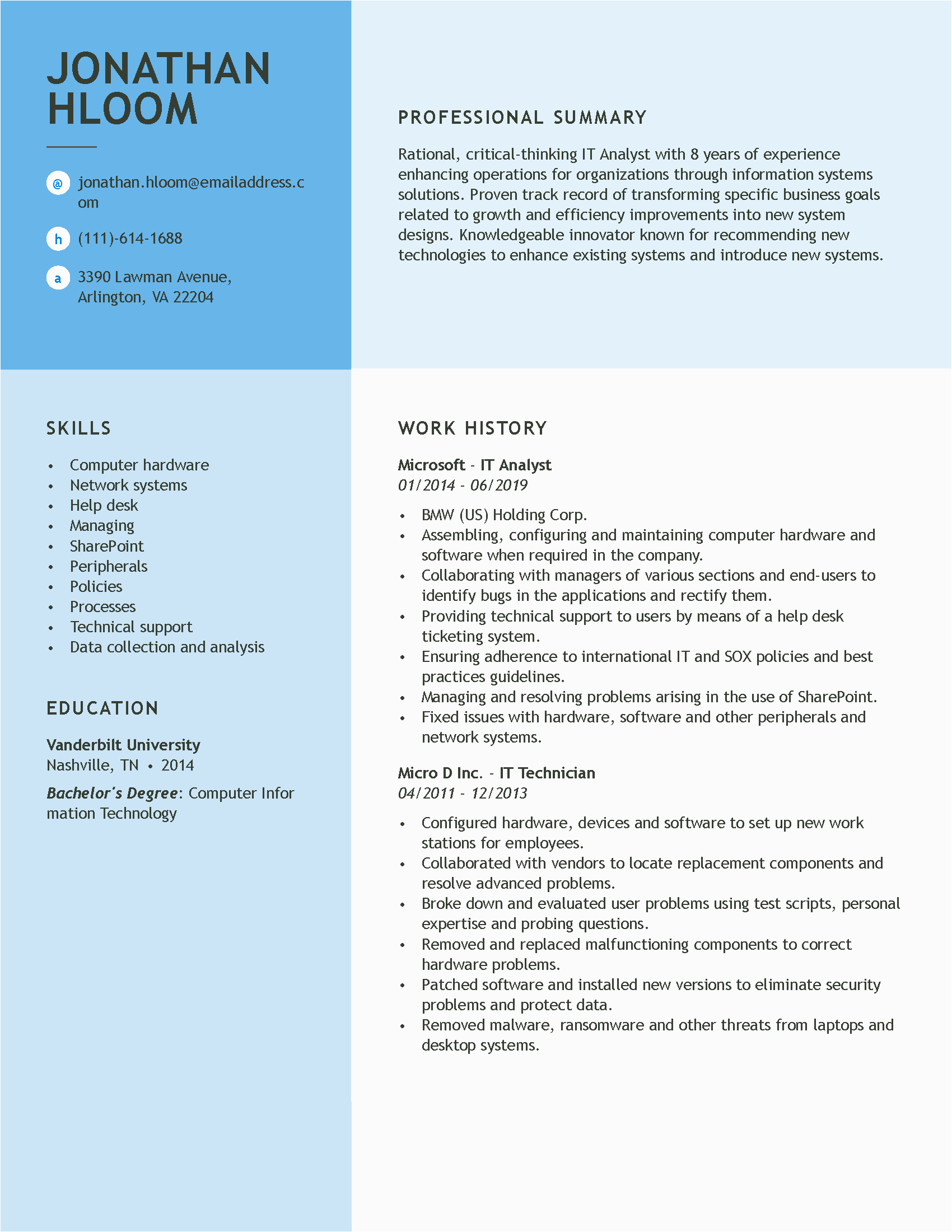 Resume Summary Samples for It Professionals Professional Resume Examples Our Most Popular Resumes In E Place