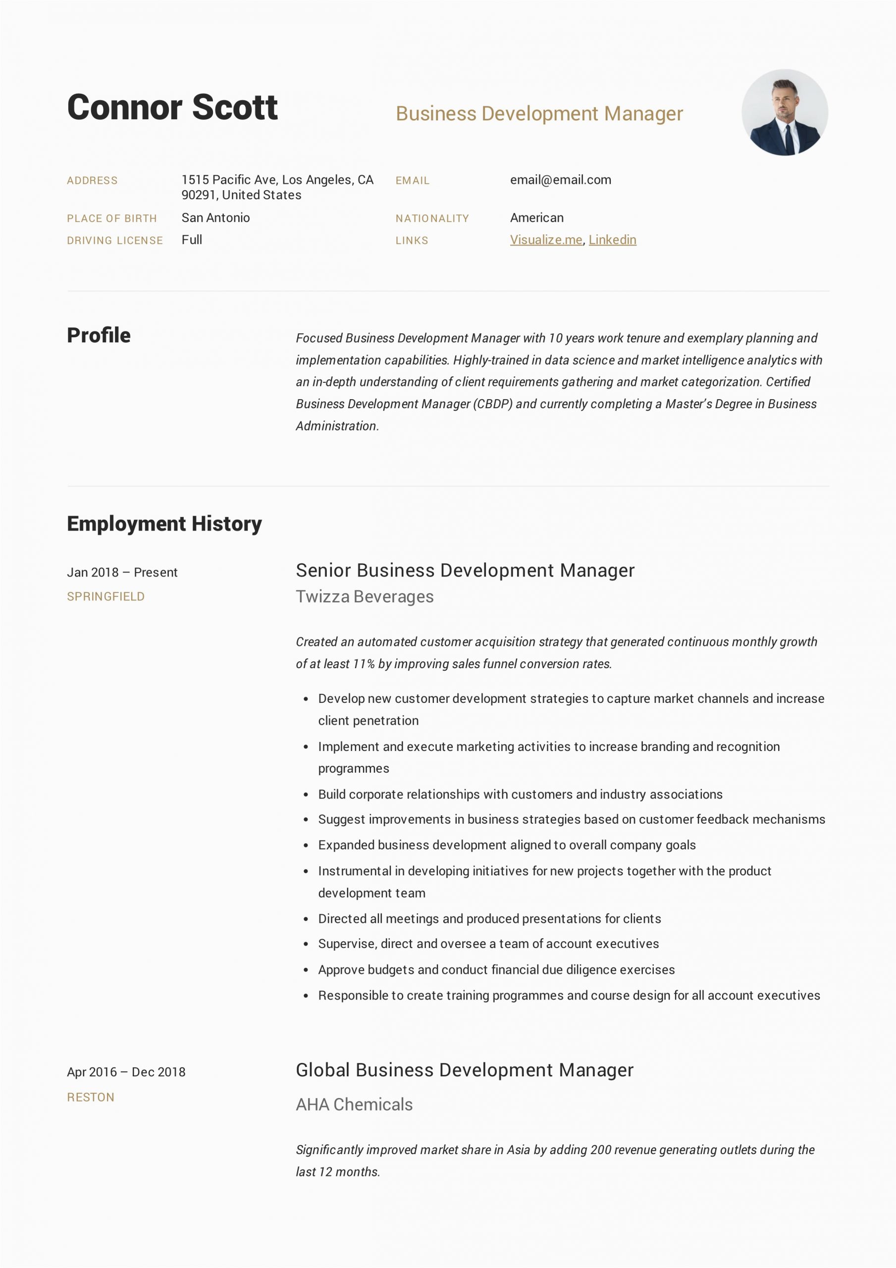Resume Template for Business Development Manager Business Development Manager Resume & Guide