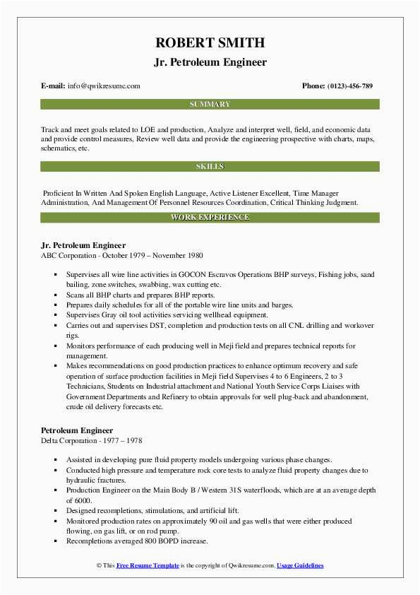 Sample Resume for Petroleum Engineering for International Employee Petroleum Engineer Resume Samples