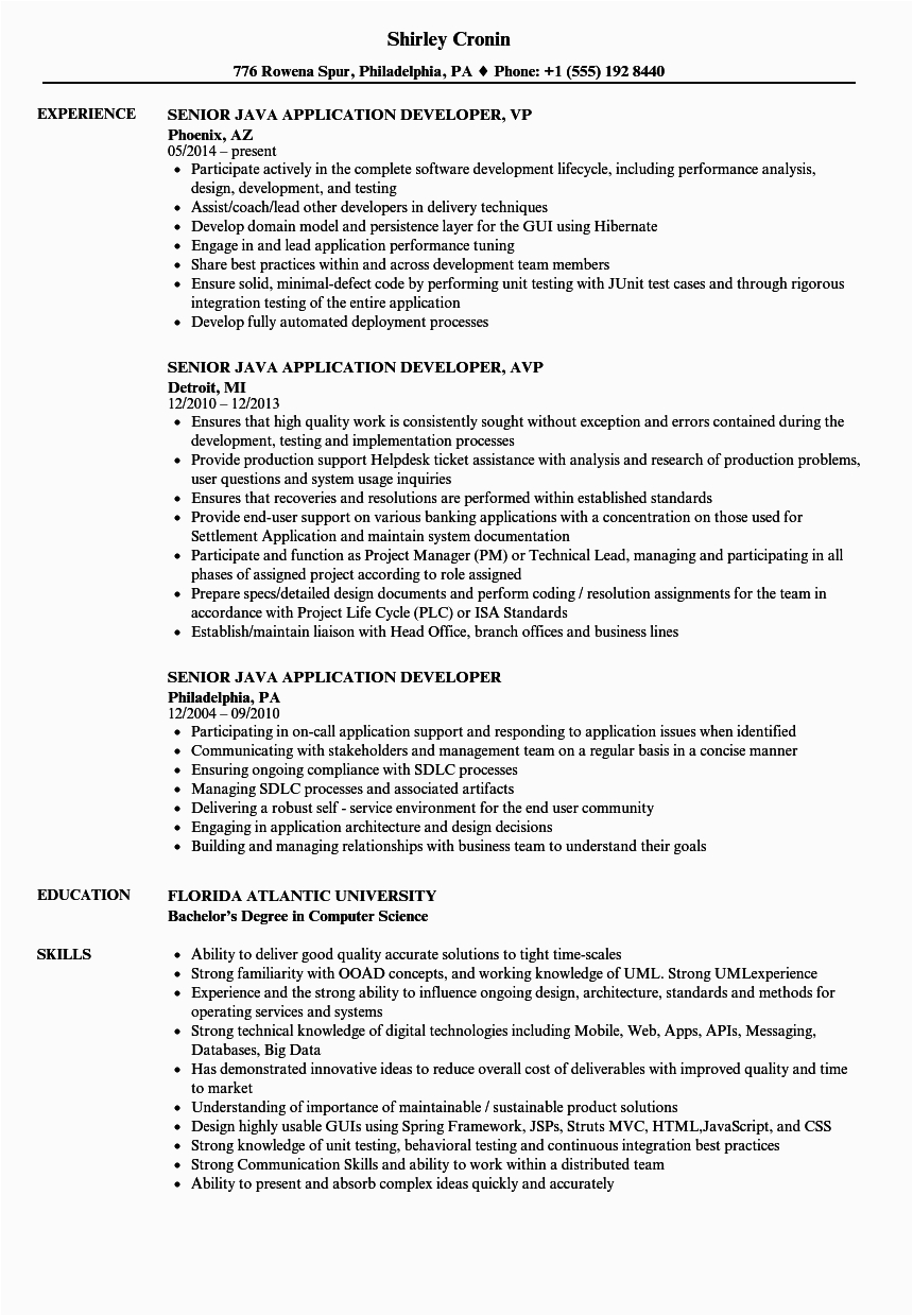 Sample Resume for Senior Java Developer Senior Java Developer Resumes