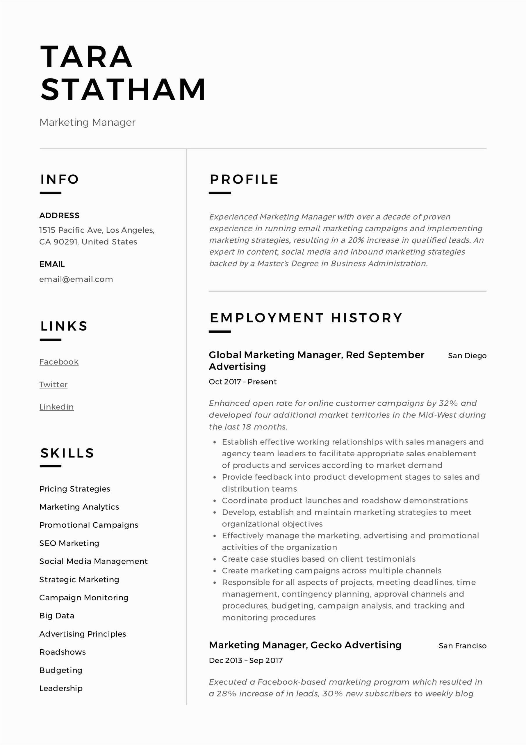 Sample Resume format for Marketing Professional Marketing Manager Resume Writing Guide 12 Templates
