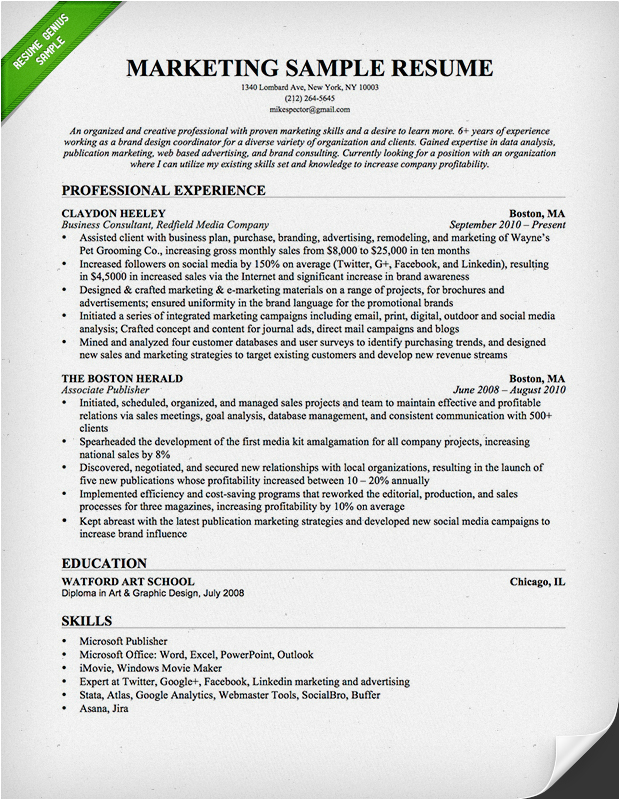 Sample Resume format for Marketing Professional Marketing Resume Sample