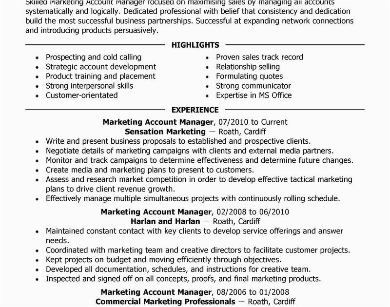 Accounts Manager Resume Sample In India Account Manager Resume Sample In India Resume
