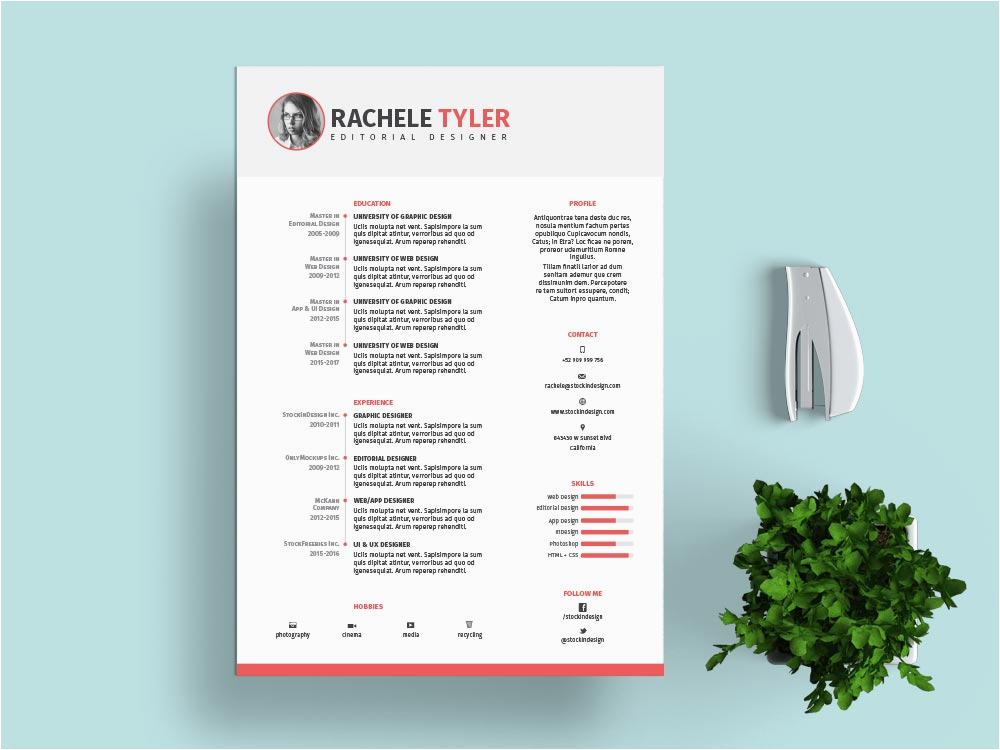 Adobe Indesign Resume Template Free Download Free Indesign Resume Template