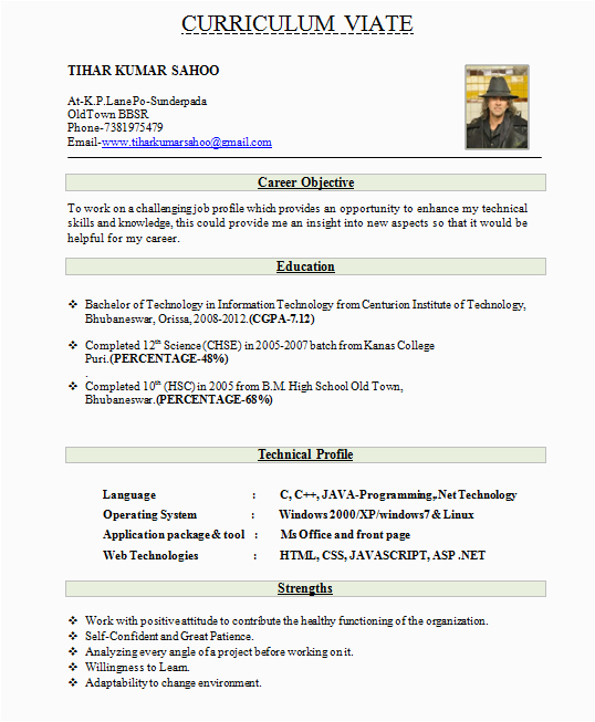 Best Resume Templates for Freshers Download 10 Fresher Resume Templates Download Pdf