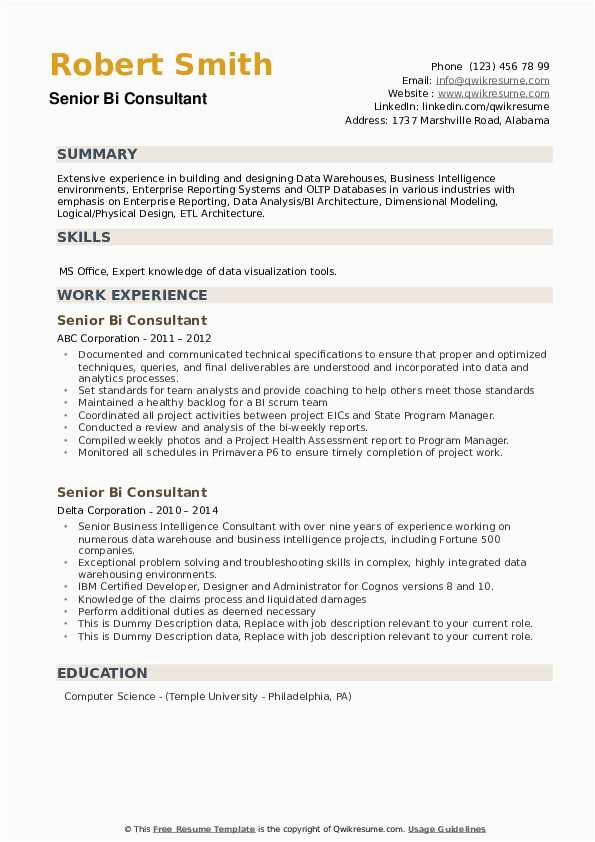 Bi Senior Cognos Technical Lead Sample Resume Senior Bi Consultant Resume Samples