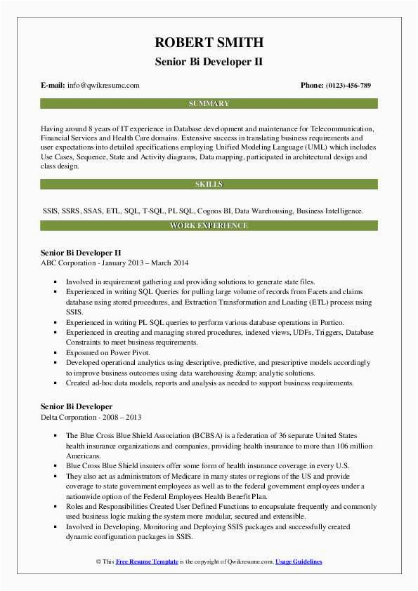 Bi Senior Cognos Technical Lead Sample Resume Senior Bi Developer Resume Samples