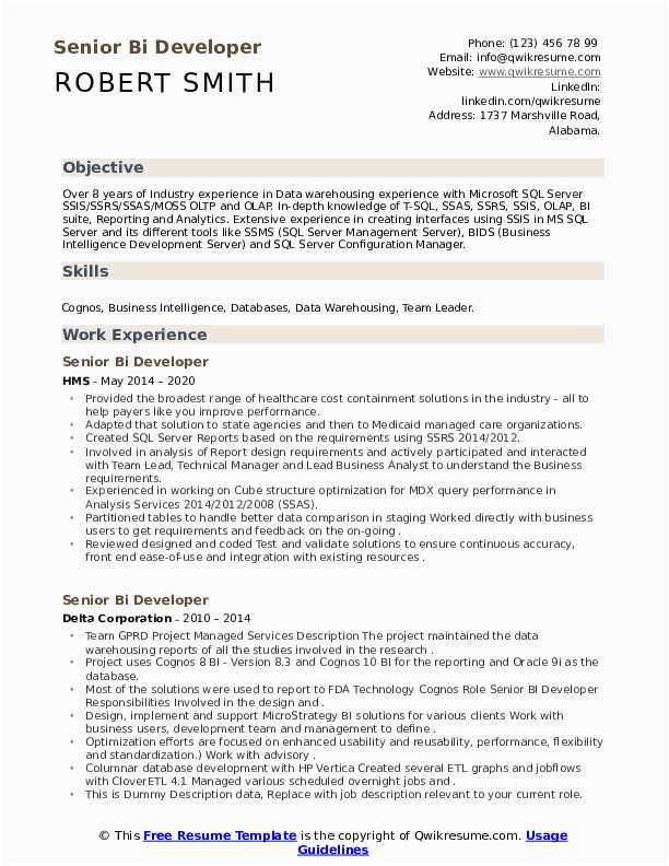 Bi Senior Cognos Technical Lead Sample Resume Senior Bi Developer Resume Samples
