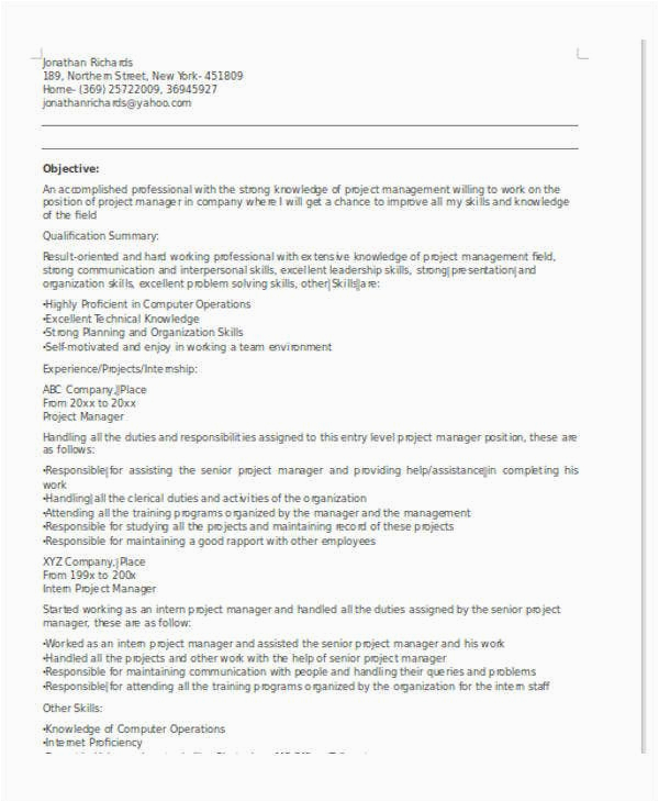 Entry Level It Project Manager Resume Sample 27 It Resume Samples Pdf Doc