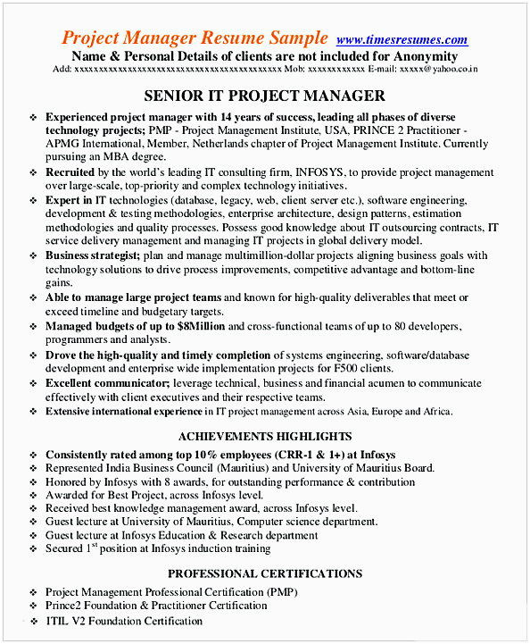 Entry Level It Project Manager Resume Sample Entry Level Project Manager Resume