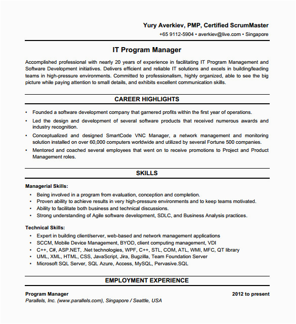 Entry Level It Project Manager Resume Sample Free 12 Sample It Resume Templates In Pdf