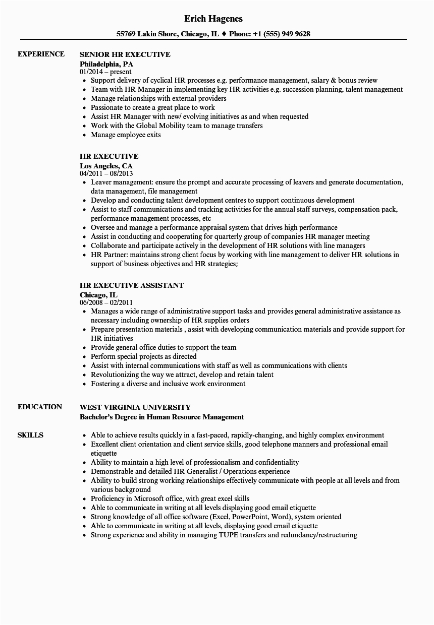 Hr and Admin Executive Resume Sample Hr Manager Resume Summary Free Resume Templates