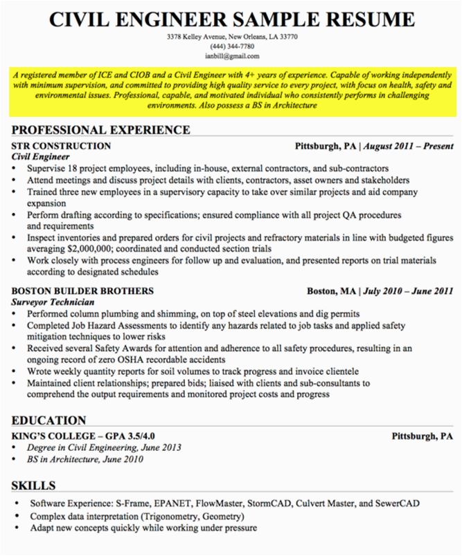 Resume Objective Sample for It Professional How to Write A Career Objective A Resume