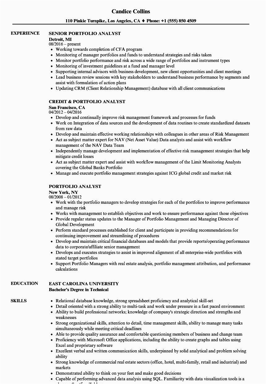 Resume Project Healthcare Samples Risk Analyst Risk Analyst Resume Example In 2021