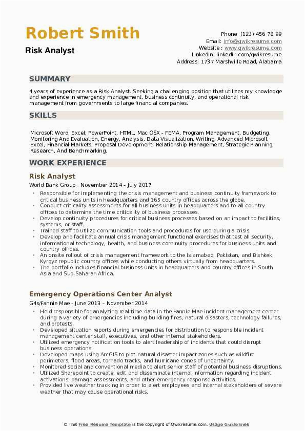 Resume Project Healthcare Samples Risk Analyst Risk Analyst Resume Samples