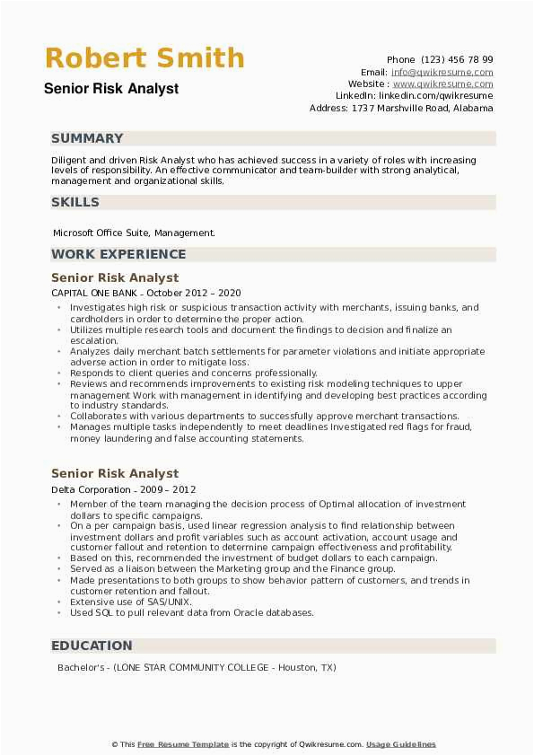 Resume Project Healthcare Samples Risk Analyst Senior Risk Analyst Resume Samples