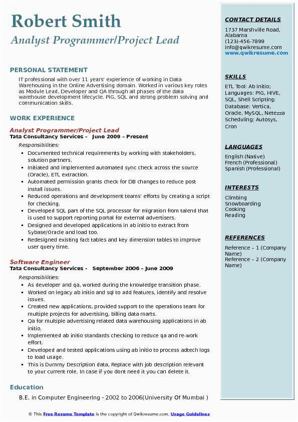 Resume Sample with A Few Years Of Experience Analyst Programmer Resume Samples