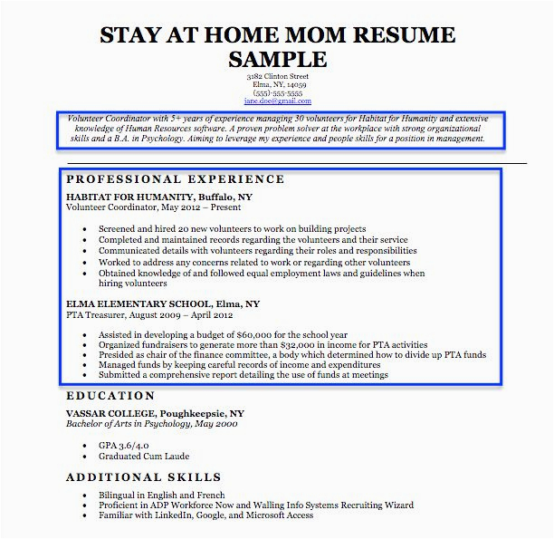 Resume Samples for Reentering the Workplace Reentering the Workforce Resume Examples New Stay at Home Mom Resume