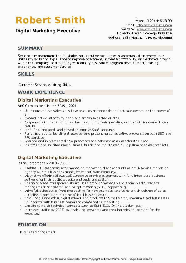 Sample Digital Business Development Executive Resume Digital Marketing Executive Resume Samples