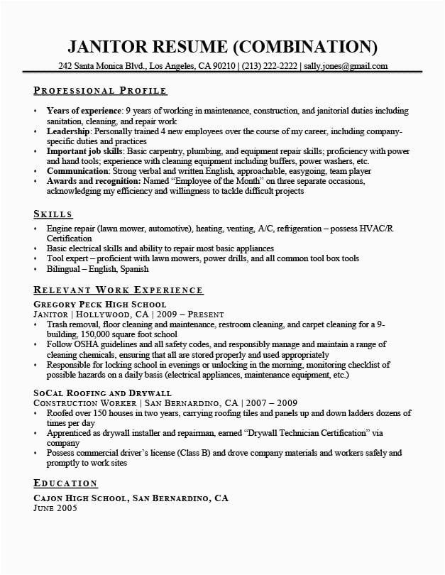 Sample for A Combination Resume for It Bination Resume Samples