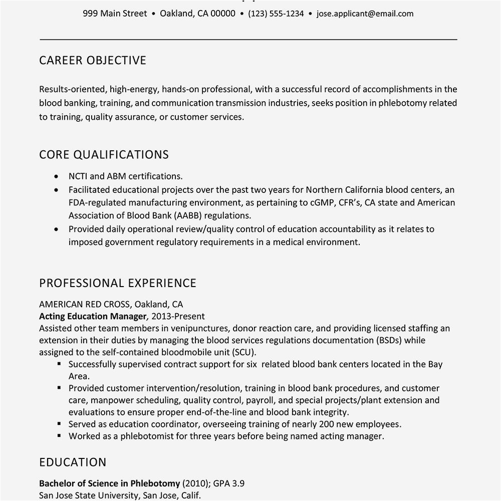 Sample for A Combination Resume for It the Cool Bination Resume Template and Example within Bination