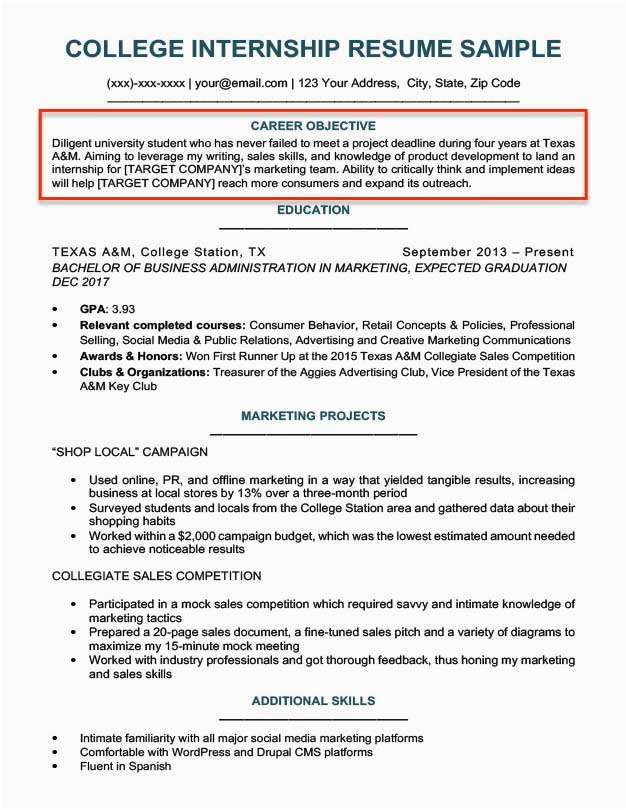 Sample Objective On A Resume for Students Resume Objective Examples for Students and Professionals
