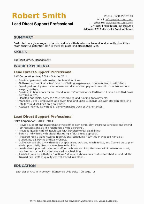 Sample Resume for A Direct Support Professional Direct Support Professional Resume Sample Beardbimetl