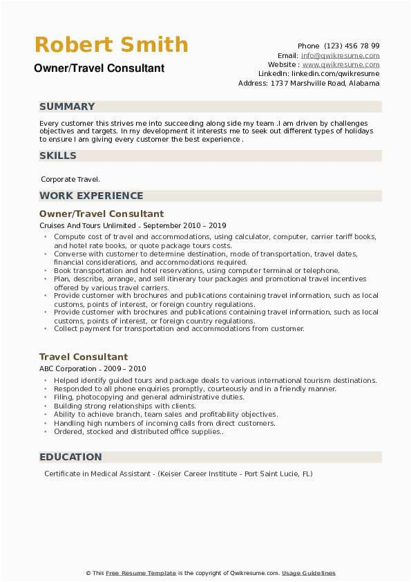 Sample Resume for A Entry Level Travel Consultant Travel Consultant Resume Samples