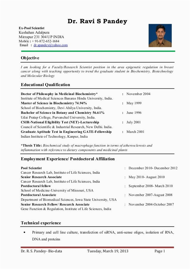 Sample Resume for assistant Professor In Mathematics Mathematics Professor Cv April 2022