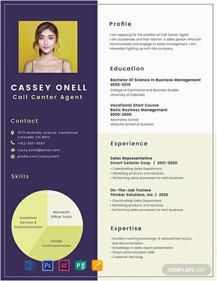 Sample Resume for Call Center without Experience Call Center Resume Example 11 Free Word Pdf Documents