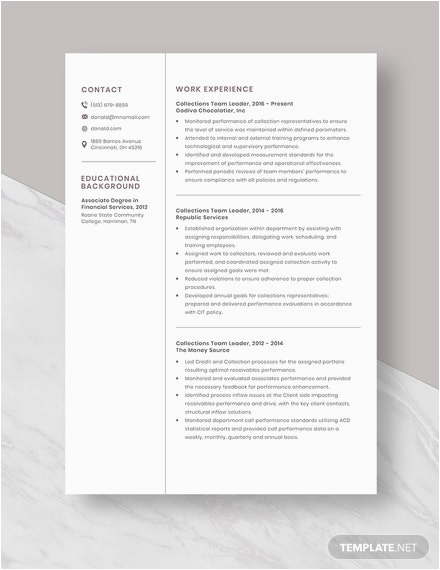 Sample Resume for Collections Team Leader Collections Team Leader Resume Cv Template Word