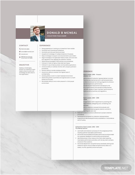Sample Resume for Collections Team Leader Free Collections Team Leader Resume Template Word Apple Pages