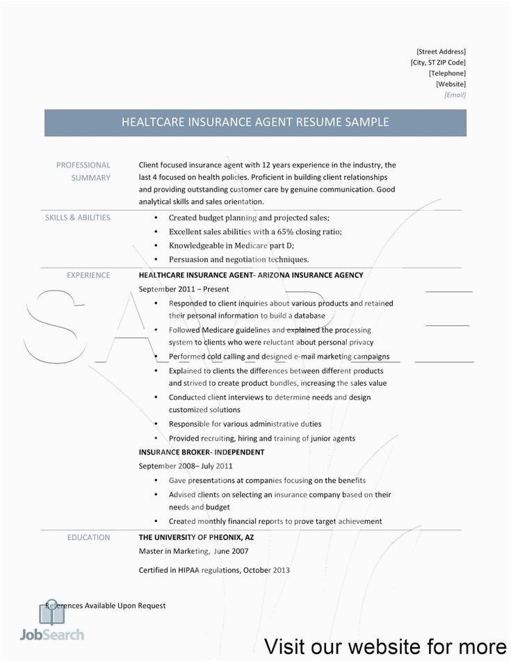 Sample Resume for Insurance Agency Marketing Insurance Agent Career Insurance Marketing Ideas Insurance