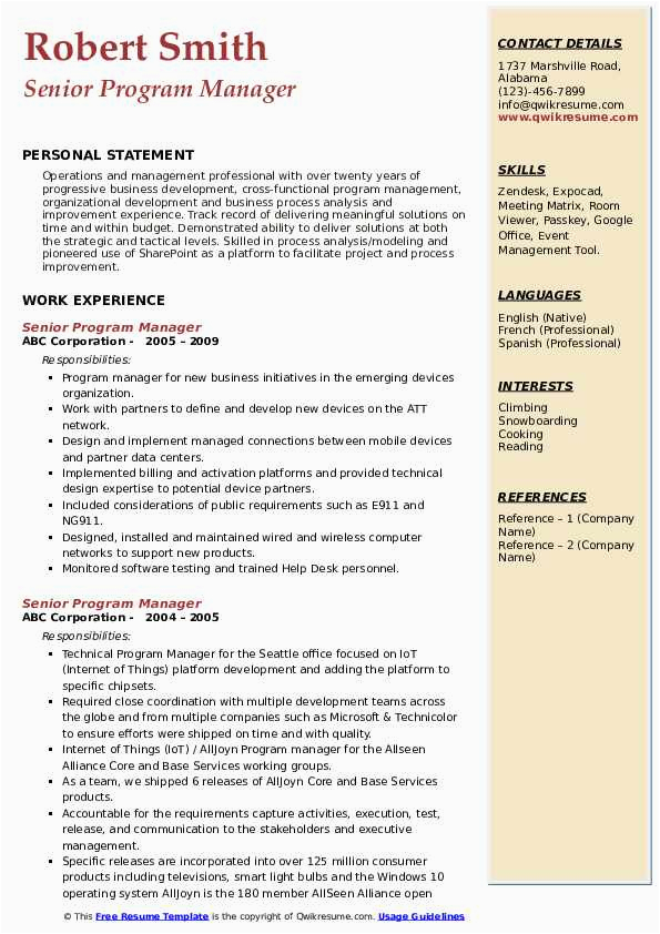 Sample Resume for Senior Management Position Senior Program Manager Resume Samples