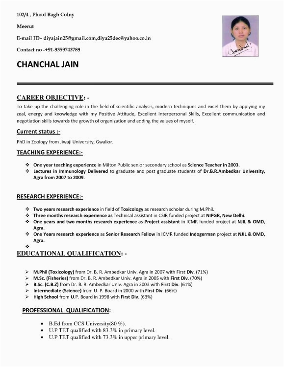 Sample Resume for Teaching Job Application Resume for Teachers Job Application In India Resume format