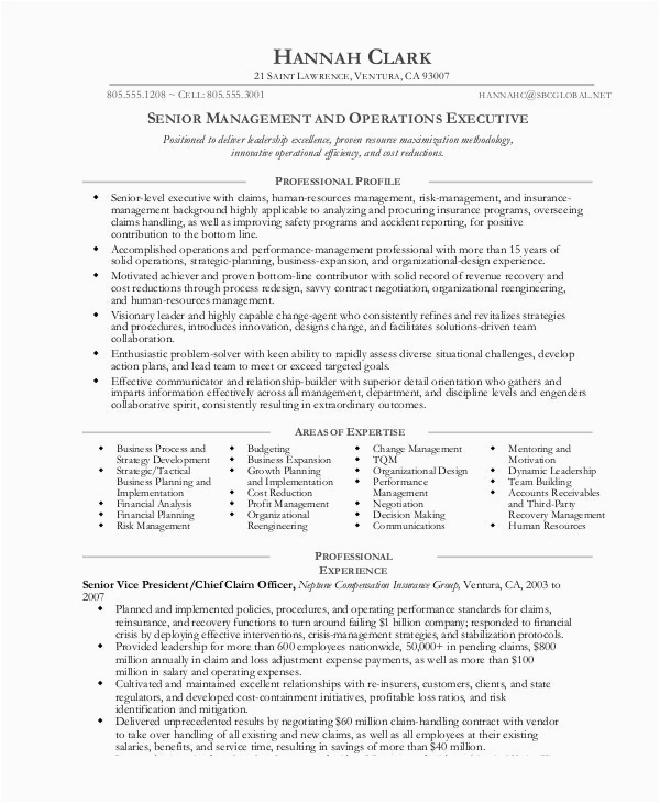 Sample Sales and Operations Manager Resume 7 Operations Manager Resume Free Sample Example format