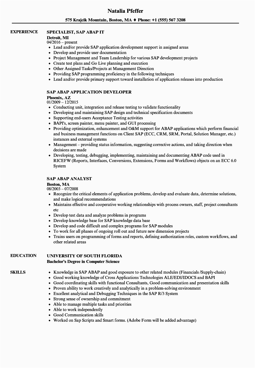Sap Abap Sample Resume for 4 Years Experience Sap Abap Hr Consultant Resume April 2021