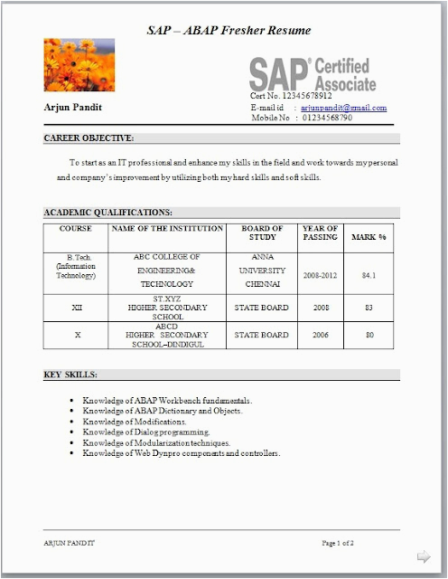 Sap Abap Sample Resume for Fresher Sample Sap Abap Fresher Cv format