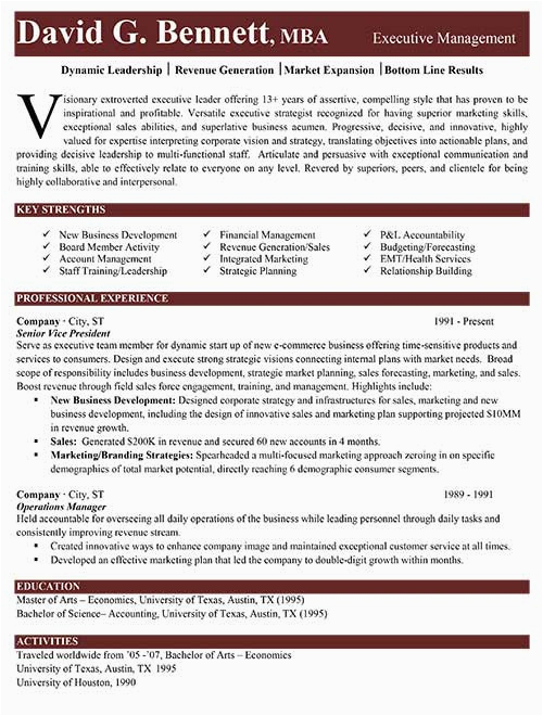 Achievement Based Resume and Sample and Ceo Industry Specific Resume Samples