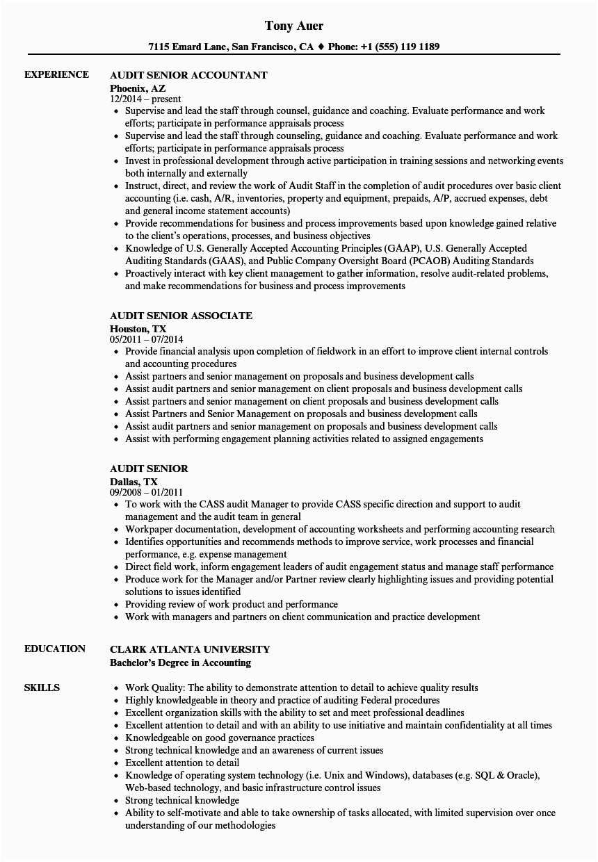 Big 4 Public Accounting Resume Sample Resume Chartered Accountant In Practice