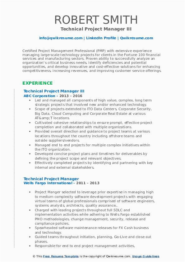 Big Data Project Manager Resume Sample Technical Project Manager Resume Samples