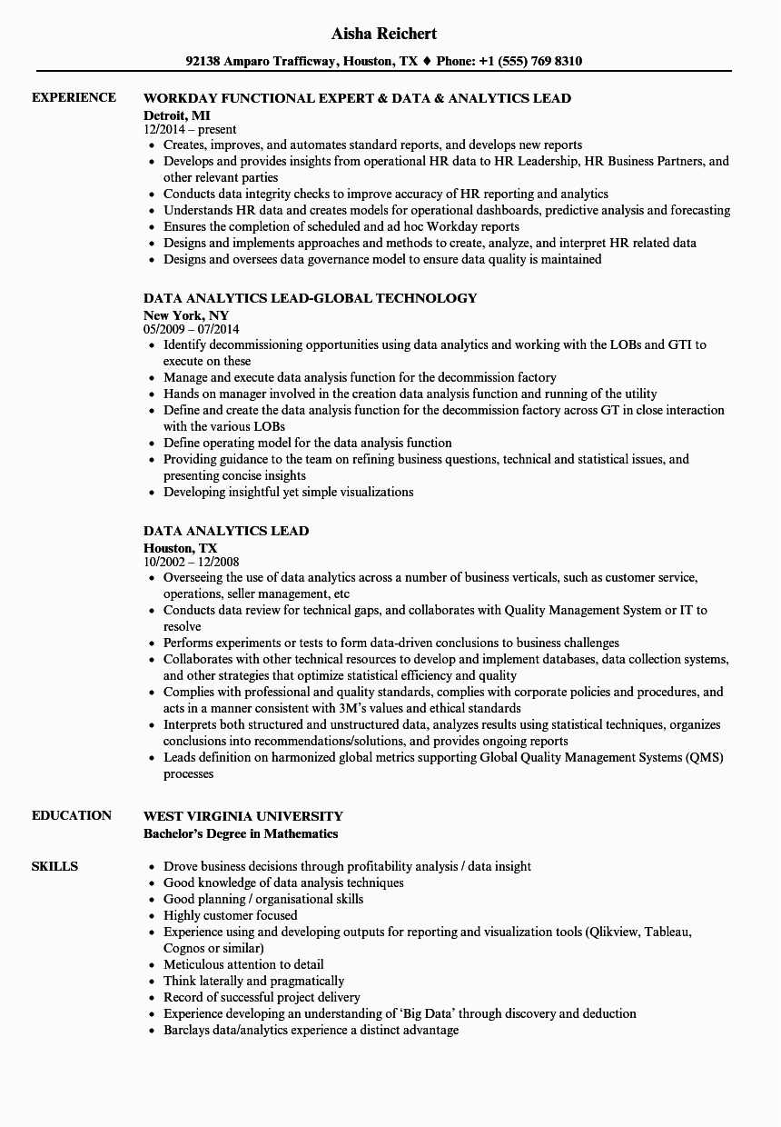 Big Data Project Manager Sample Resume Big Data Analytics Resume Mryn ism