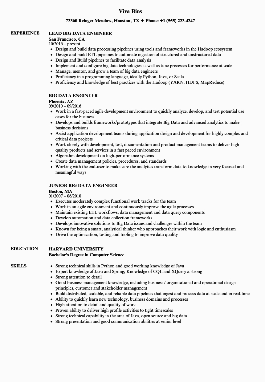Big Data Project Manager Sample Resume Big Data Engineer Resume Best Resume Examples