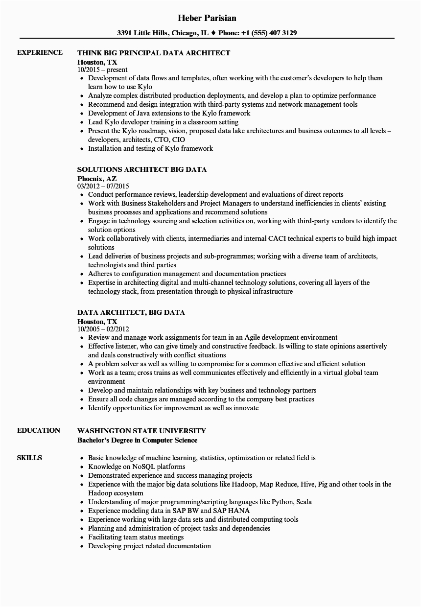 Big Data Project Manager Sample Resume Data Architect Big Data Resume Samples