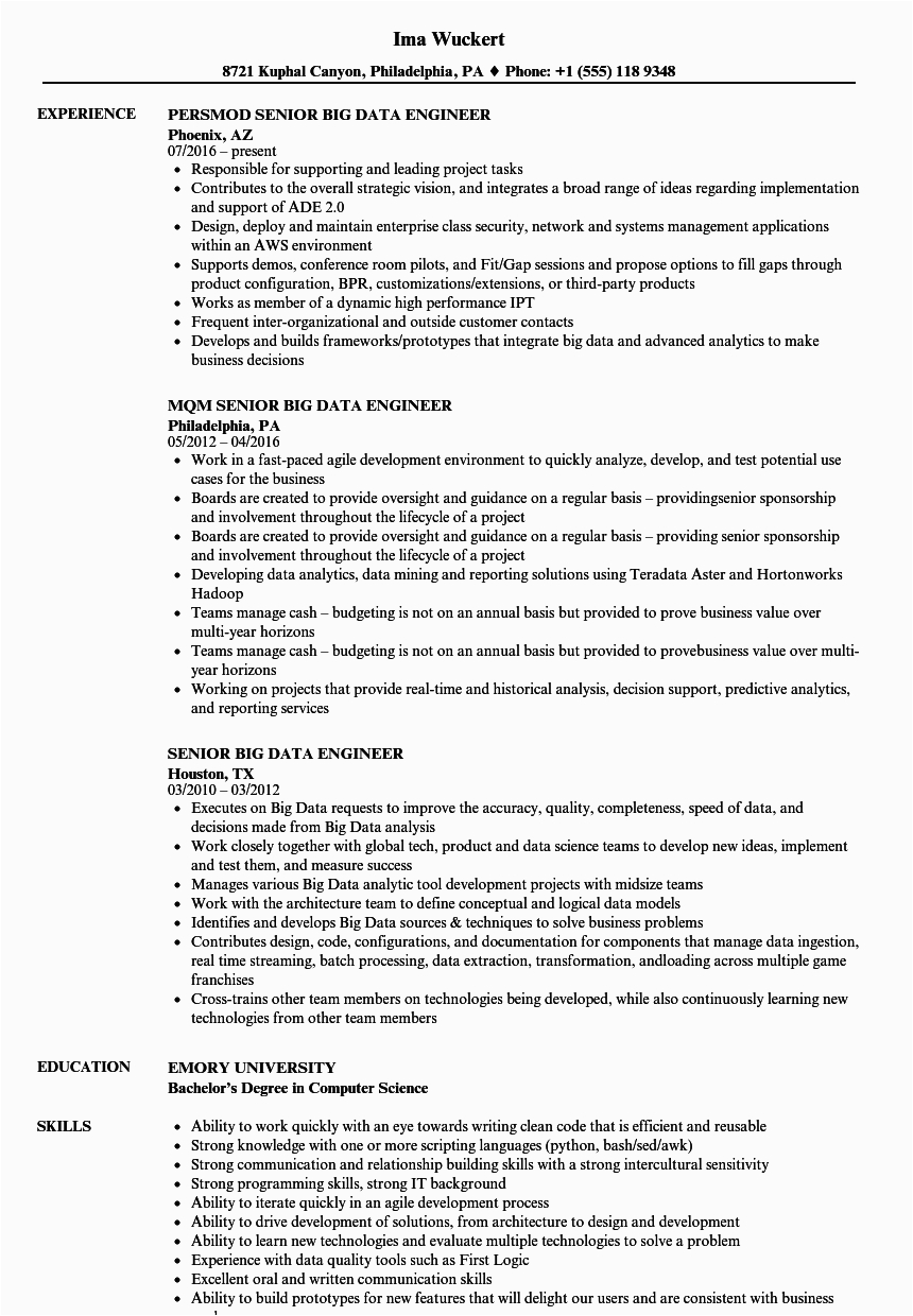 Big Data Project Manager Sample Resume Senior Big Data Engineer Resume Samples