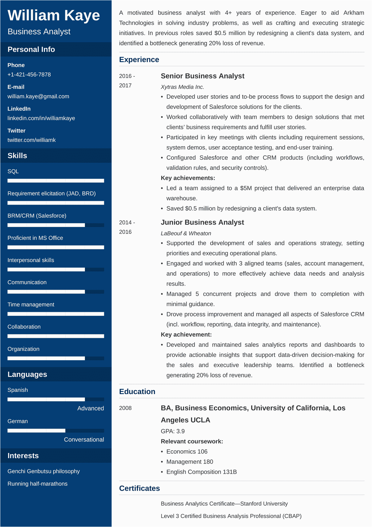 Business Analyst Resume Templates Free Download [download 39 ] 32 Business Analyst Cv Template Cdr