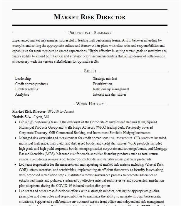Market Risk Business Analyst Resume Sample Market Risk Analyst Resume Example Credit Suisse First Boston New