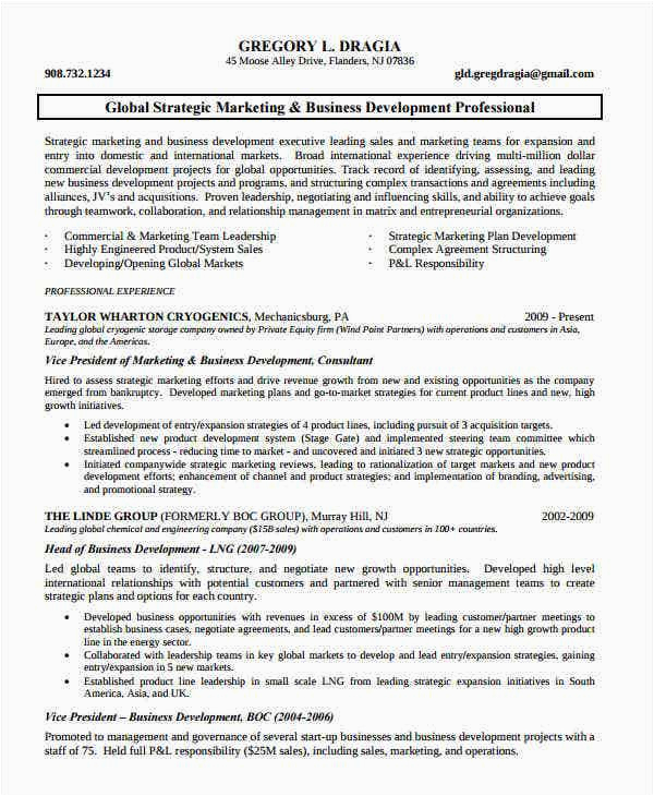 Marketing and Business Development Resume Sample Marketing Resume Examples 47 Free Word Pdf Documents Download