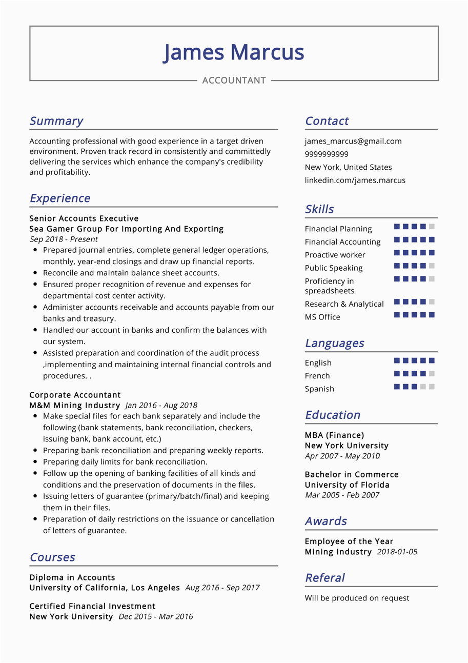 Professional Summary Resume Sample for Accountant Accountant Resume Example 2022