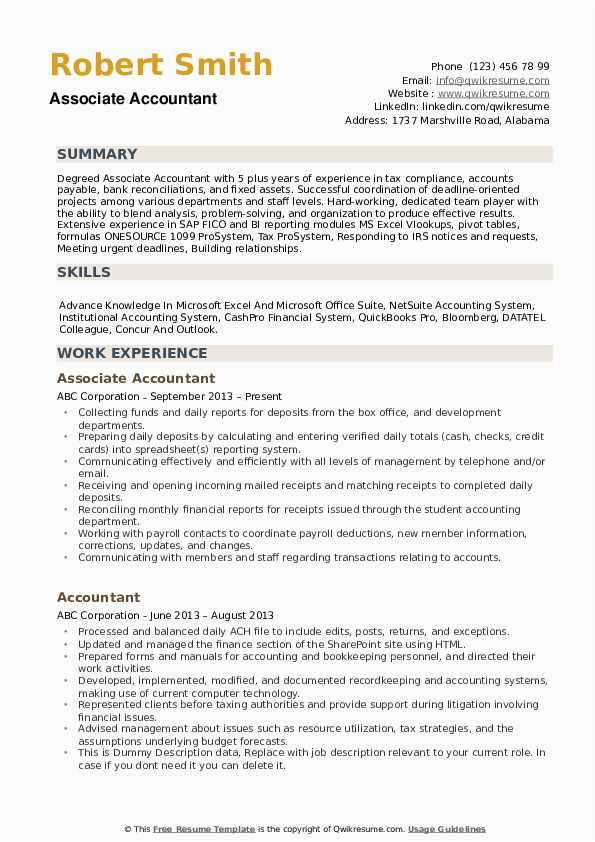 Professional Summary Resume Sample for Accountant Accountant Resume Samples